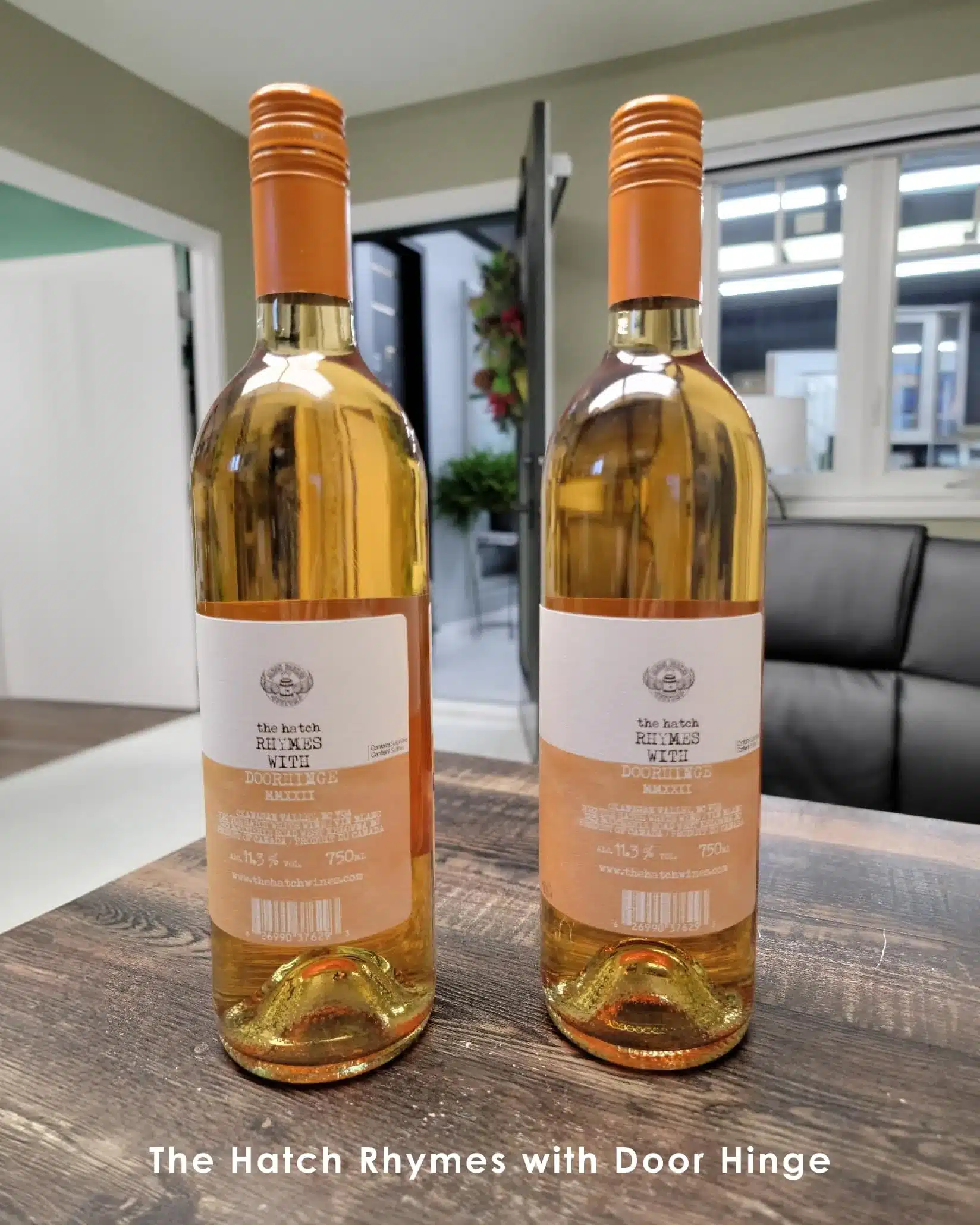 20231206_102330-copy